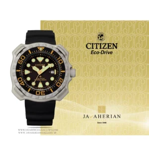 ساعت مردانه سیتیزن Citizen BN0220-16E