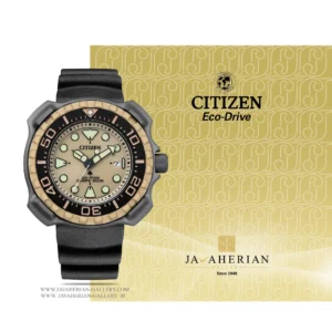 ساعت مردانه سیتیزن Citizen BN0226-10P