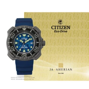 ساعت مردانه سیتیزن Citizen BN0227-09L