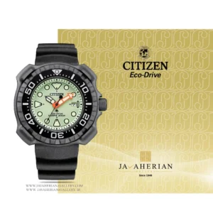 ساعت مردانه سیتیزن Citizen BN0227-17X