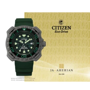 ساعت مردانه سیتیزن Citizen BN0228-06W