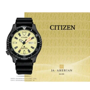 ساعت مردانه سیتیزن Citizen NY0138-14X , NY0138-14X