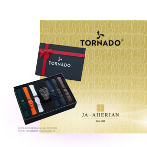 ساعت مردانه تورنادو T23006C-XBXB-S tornado