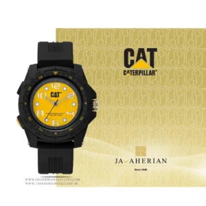 ساعت مردانه کاترپیلار Caterpillar LP.160.21. 37