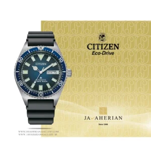 ساعت مردانه سیتیزن Citizen NY0120-01E