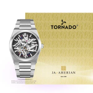 ساعت مردانه تورنادو Tornado T24301-SBSB